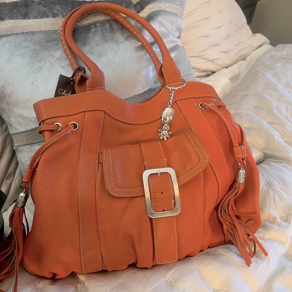 Cole Haan Orange leather bag + matching wallet!